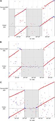 Genome Size Variation and Comparative Genomics Reveal Intraspecific Diversity in Brassica rapa